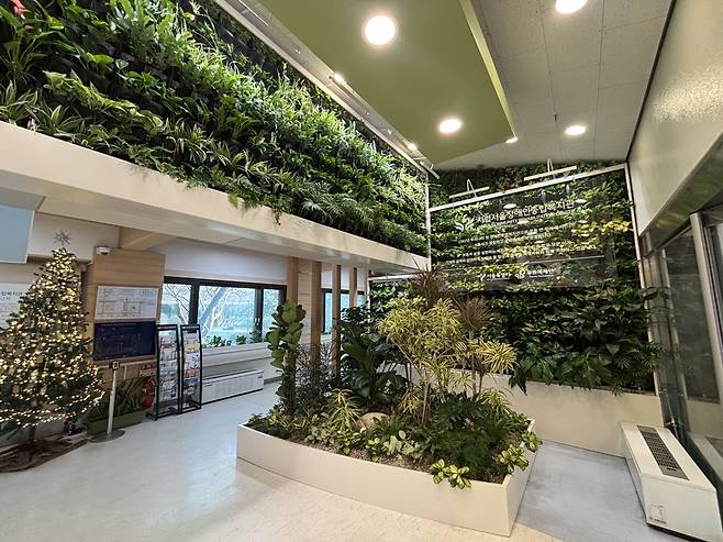 벽면 녹화 방식으로 조성된 서울장애인종합복지관의 ‘일상의 숲’ 실내정원을 촬영한 사진이다.