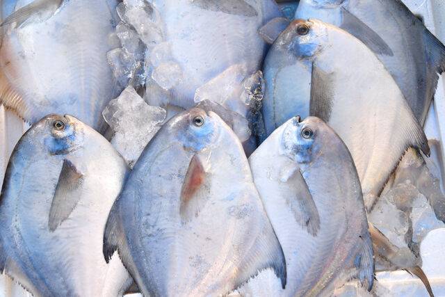 정부가 최근 중국과의 수출 관련 협상에 성공하며 한국산 수산물의 해외 수출이 탄력을 받을 전망이다. 사진은 기사의 특정 사실과 관련 없음. 클립아트코리아