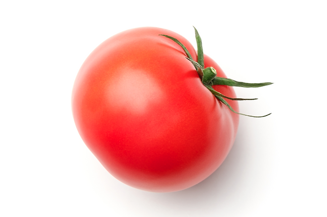 토마토