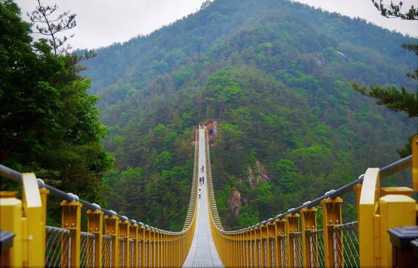 거창수승대 출렁다리. / 거창군