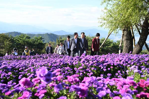 2025 감악산 꽃별 여행축제. / 거창군