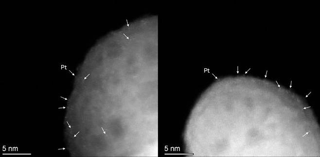 단일원자 백금(Pt) 입자의 전자현미경 사진. 화살표로 표시된 밝은 대비점들은 지지체 표면에 하나씩 고르게 분산된 백금(Pt) 원자들을 나타내며, 백금이 뭉치지 않고 안정적으로 분산된 상태임을 확인할 수 있다. 유성주 아주대학교 교수 제공