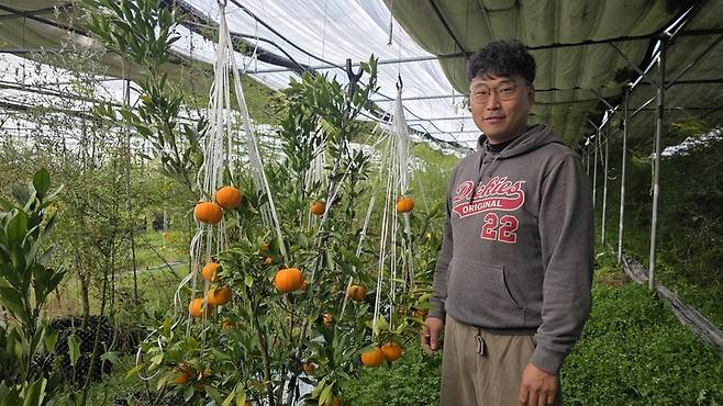 경북 영천으로 귀농한 김주형씨가 자신의 농장에서 레드향을 소개하고 있다. 김규현 기자