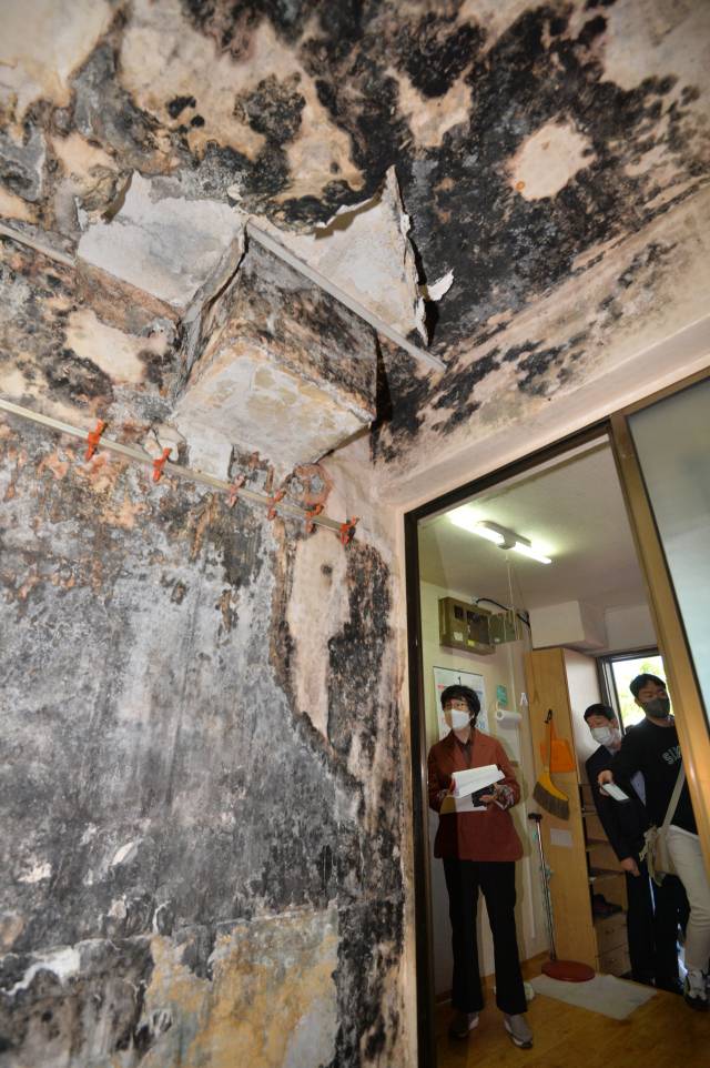 기사와 무관한 사진. 뉴스1