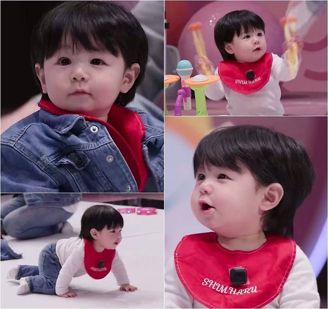 ‘슈돌’ 심형탁 아들 하루. 사진|KBS