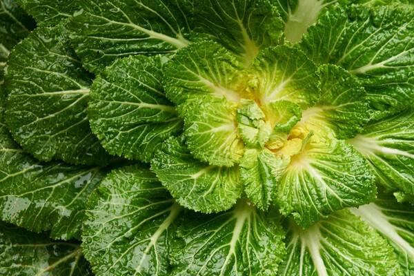 사진 게티이미지뱅크