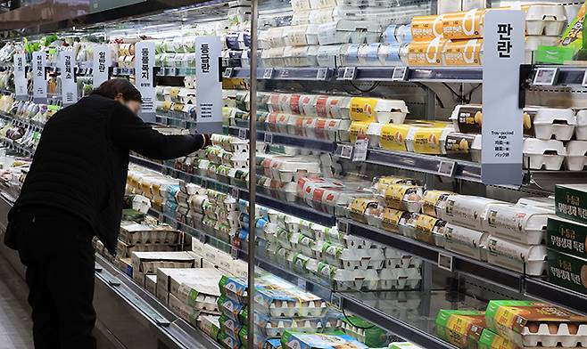 지난 7일 서울시내 한 마트에서 시민이 계란을 고르고 있다.(사진=저작권자(c) 연합뉴스, 무단 전재-재배포 금지)