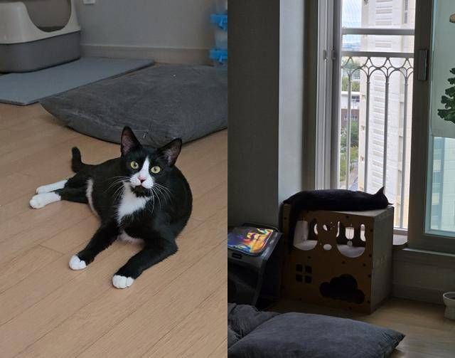 마리가 집에 온 첫날이에요. 첫날부터 너무 편안해 보이죠? 보호자 제공