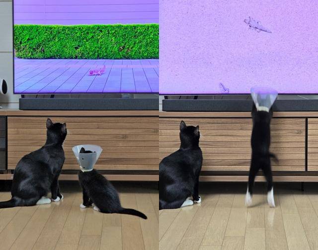 귀요미 母子의 합동 사냥 작전 보호자 제공