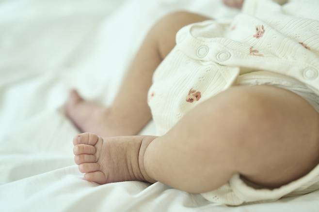 사진은 기사 내용과 무관함. [게티이미지뱅크]