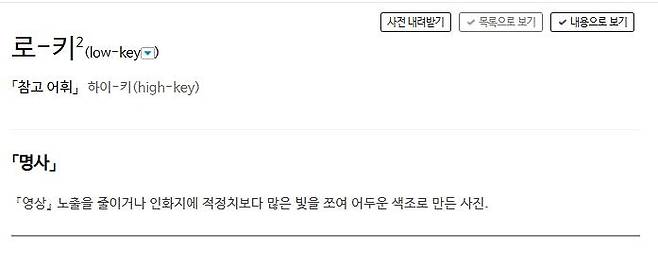 '로키'에 사전의 정의 표준국어대사전 캡처