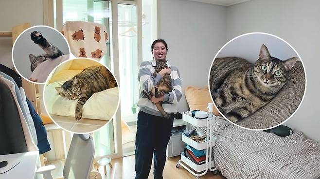 양주고읍 LH13단지 행복주택 16A 빌트인 집주인 : 이빈 (28살) 고양이 : 호랑 (4살)