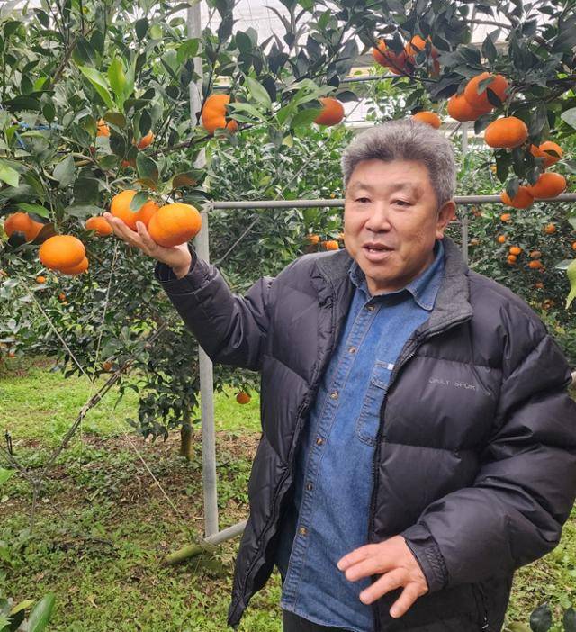 7일 제주 제주시 조천읍 한 비닐하우스에서 이동은씨가 자신이 재배한 레드향에 대해 설명하고 있다. 제주=김영헌 기자