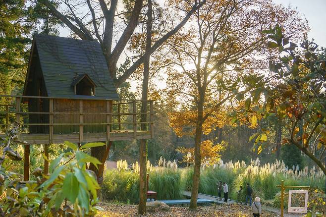 겨울에도 초록이 머무는 남도의 정원들을 따라 걷다 보면 마음마저 회복될 것이다. 사진 속 4est수목원은 ‘걷는 경험’을 중심에 둔 수목원으로, 곳곳에 배치된 철학적 메시지를 따라 천천히 걸으며 사유하게 만드는 정원들로 구성돼 있다.