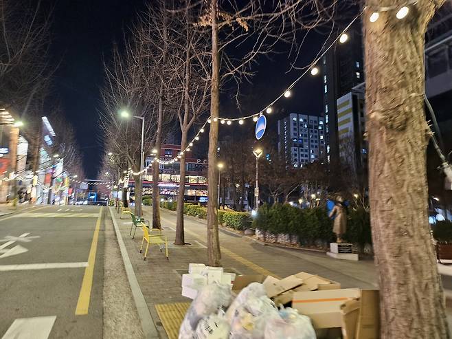 서울 서대문구 한 거리, 가로수에 설치된 조명이 빛나고 있다. 김광우 기자.