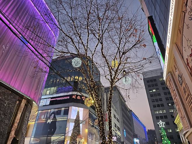 서울 중구 명동 거리에 조명으로 장식된 가로수. 김광우 기자.