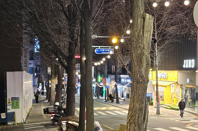서울 서대문구 한 거리, 가로수에 설치된 조명이 빛나고 있다. 김광우 기자.