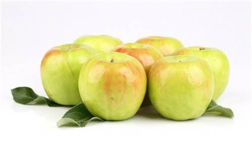 여름 사과 '썸머킹' [농촌진흥청 제공. 재판매 및 DB 금지]