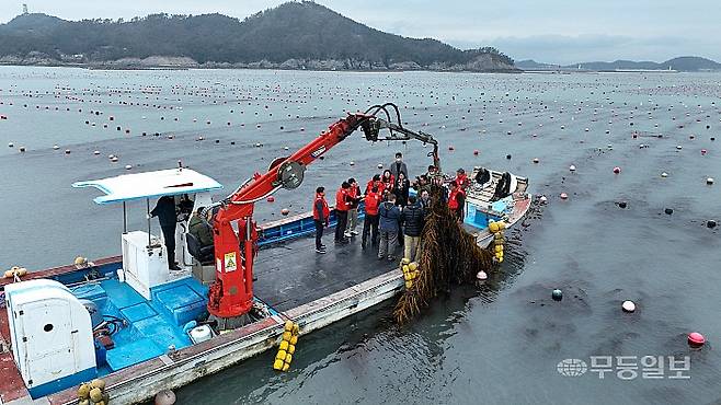 미 에너지부 산하기관 에너지 고등 계획원(ARPA-E) 관계자 완도군 해조류(미역) 양식장을 방문한 모습. 완도군제공