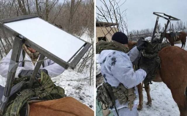 말 안장에 위성 안테나가 얹혀진 모습. 텔레그램 캡처