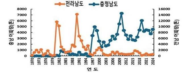 ▲ 기후변화로 인한 충남과 전남의 키조개 어획량 변화