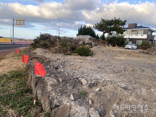 '섯동산'이라 불렀던 이호동 해안사구 공사현장. 기존에 있었던 소나무는 이미 사라지고 모래둔덕 절반정도가 파헤쳐진 상태다. (사진=제주자연의벗)&nbsp;