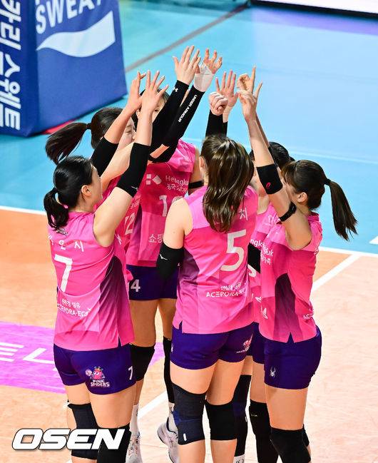 흥국생명 선수들. / OSEN DB