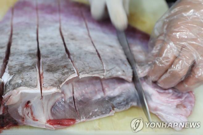 전남 신안군 흑산도 내 한 식당에서 홍어회를 손질하는 모습 [연합뉴스 자료사진]