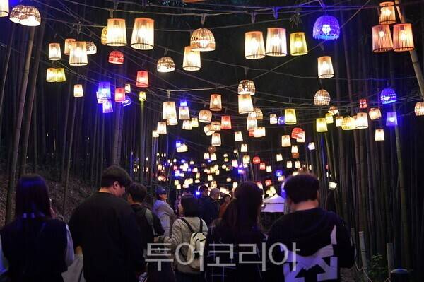 담양대나무축제 모습. /사진-담양군