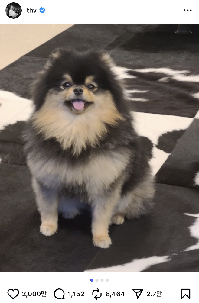 뷔 인스타그램 캡처.