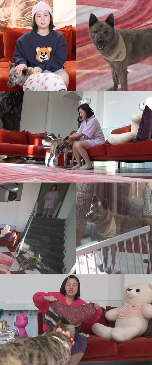 /사진=MBC '나 혼자 산다'