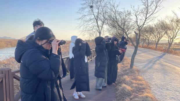 멸종위기종 흑두루미를 보기 위해 13일 순천만습지를 찾은 탐조객들이 망원경으로 새를 관찰하고 있다.