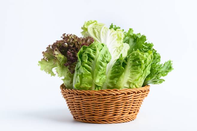 상추는 식이섬유가 많아 잡곡밥과 함께 먹을 경우 혈당을 천천히 올리는 데 도움이 된다. 사진=게티이미지뱅크
