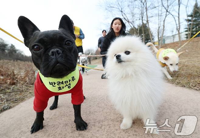 (서울=뉴스1) 임세영 김영운 기자 = 14일 경기 화성시 마도면 반려마루 화성에서 청소년 자원봉사자들이 방학을 맞아 보호동물과 교감활동을 하고 있다.  2026.1.14/뉴스1 ⓒ News1 김영운 기자