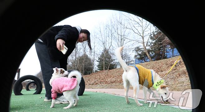 14일 경기 화성시 마도면 반려마루 화성에서 청소년 자원봉사자들이 방학을 맞아 보호동물과 교감활동을 하고 있다.  2026.1.14/뉴스1 ⓒ News1 김영운 기자