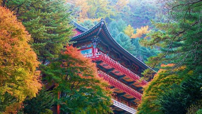 “이게 산속에 있다고?”… 해발 1100m, 궁궐 같은 풍경의 힐링명소 | 여행탐구