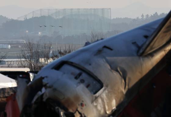 제주항공 여객기 참사 엿새째인 지난해 1월 3일 오전 전남 무안국제공항 참사 현장 위로 철새가 날고 있다. [뉴스1]