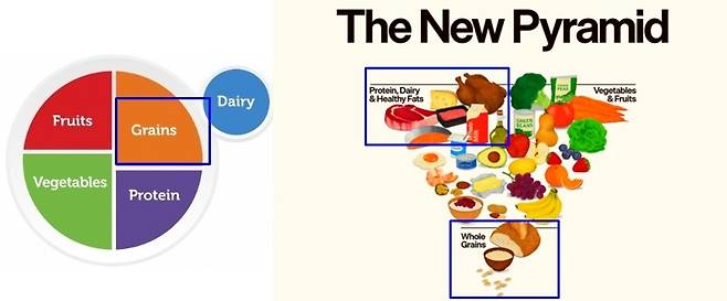 이전  美 식이지침(왼쪽)에는 곡물이 채소, 과일, 단백질과  비슷한 비중을 차지했으나, 개정안에선 곡물이 하단에, 단백질이 상단에 배치됐다. [미 농무부]