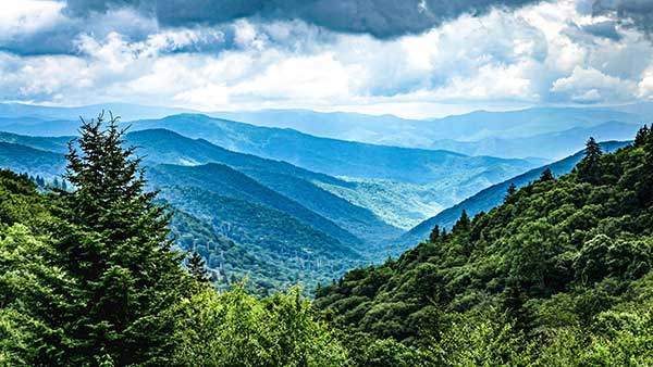 그레이트 스모키 마운틴스국립공원. 이 산은 지리산인가, 덕유산인가? 부드러운 산세가 한국의 산을 닮았다. 산에 늘 푸르스름한 안개가 끼어 '스모키'라는 이름이 붙었다. 미국 국립공원에서 탐방객 수 1위이면서, 동시에 생물다양성도 가장 높은 곳으로 꼽힌다. 사진 조수아버딕