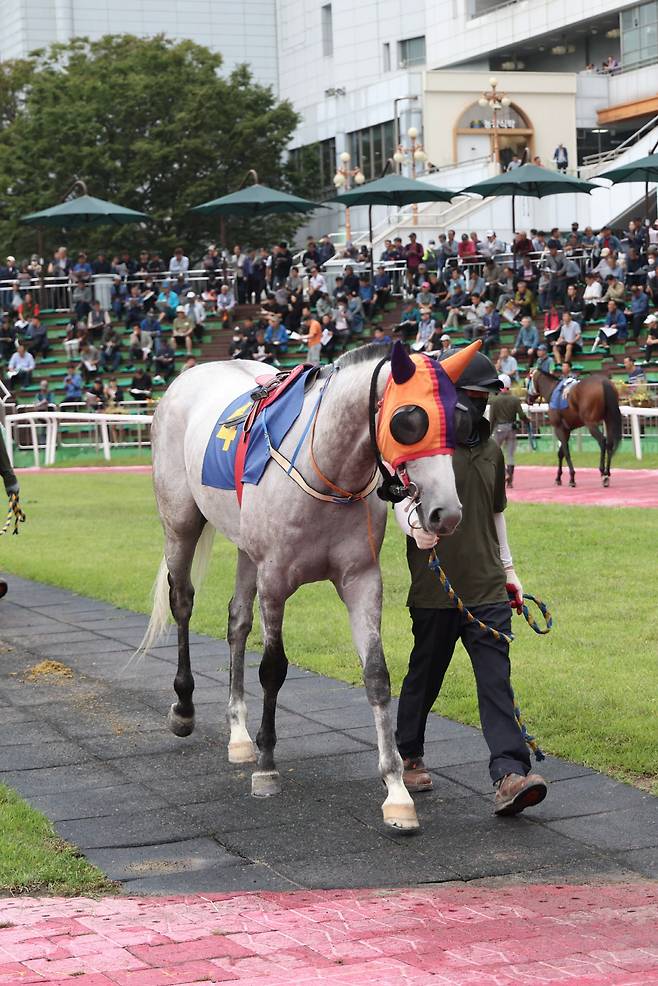 지구라트. 사진제공=한국마사회
