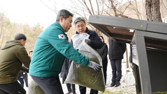 ▲ 서흥원 양구군수와 허민 국가유산청장이 15일 양구군 방산면 천미리 일원에서 열린 겨울철 산양 먹이주기 행사에 참여해 산양 먹이를 공급하고 있다.