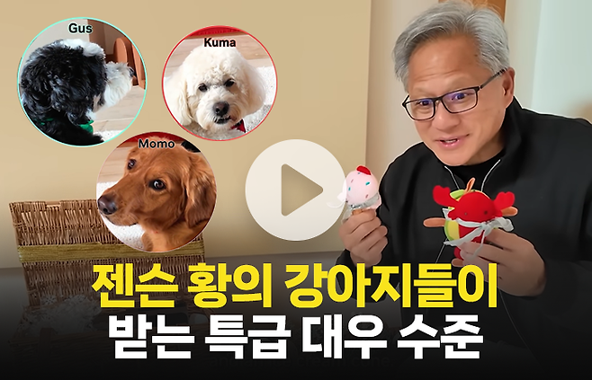 젠슨 황의 반려견이 받는 대우 수준···"개팔자가 상팔자네" 기사의 사진