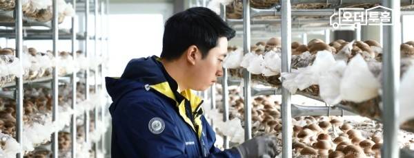 최영창 농가 '미송화 버섯세트' 산지사진./사진=이마트 제공