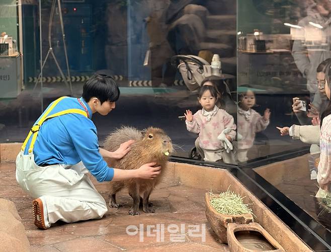 지난 8일 롯데월드 아쿠아리움에서 관객들에게 인사하고 있는 ‘바라’와 김종남 아쿠아리스트 (사진=이민하 기자)