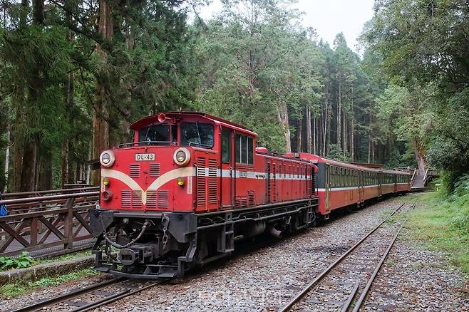 아리산산림열차(Alishan Forest Railway) /사진-대만관광청