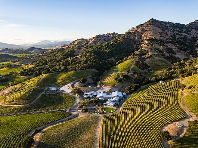 쉐이퍼 빈야드 전경신세계L&B 제공
