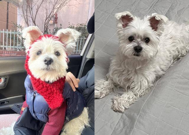 온돌이 너무 귀엽개! 보호자 제공