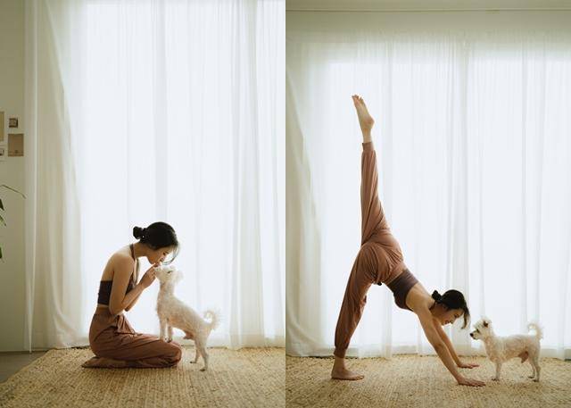 요가하는 누나와 온돌이! 보호자 제공