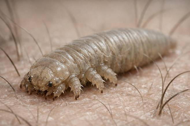 일러스트 | NEWS IMAGE