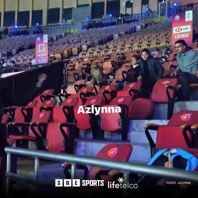 원숭이·오염·조명 사고까지…안세영 뛰는 인도 오픈, 환경 논란에 휘청